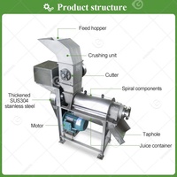 Raisin Oignon Squeeze Ananas Grenade Extracteur De Jus Industriel Machine pour Faire Du Jus De Goyave