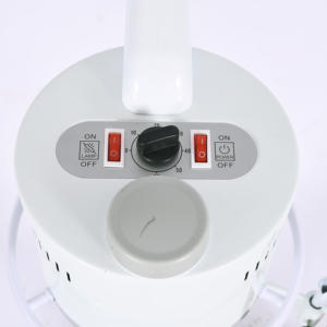 Dual Function Facial Steamer LED Vergrößerung lampe & Skin Vapor izer Beauty Device zum Verkauf Nano Ionic Facial Steamer - Product Image 5