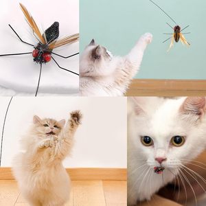 Jouet pour <span class=keywords><strong>chat</strong></span> réaliste <span class=keywords><strong>et</strong></span> écologique, grande tête d'insecte de remplacement, plume, fil de fer, cloche, baguette de stimulation, exercice, petit insecte volant - Product Image 4