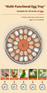 WONEGG新的30个蛋孵化器套件肯尼亚珍珠鸡蛋孵化器 - Product Image 3