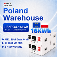 Paket Baterai Lithium EU PL Stack 16kWh 51.2V Mendukung 16 Unit Paralel 32kwh 48kwh untuk Penyimpanan Energi Kapasitas Tinggi