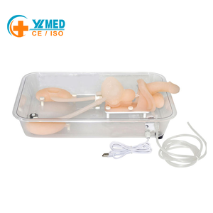 Modelo de Simulación para Entrenamiento en Ureteroscopia - Herramienta de Práctica de Endoscopia del Tracto Urinario para Educación Médica - Product Image 2