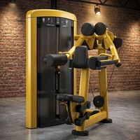 REYK Équipement de fitness commercial pour salle de sport, Machine à soulever les épaules assis en acier, pour entraînement de musculation et soulevé latéral, 75 kg