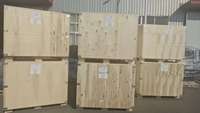 Pince à fût latérale LDSJ pour chariot élévateur, 2/4 pinces pour la manutention de seaux, pince à fût robuste, modèle basculant ISO 2A/3A, garantie 2 ans