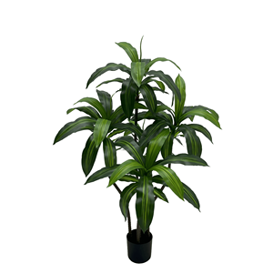 Best-seller Plantes Bonsaï à effet de <span class=keywords><strong>serre</strong></span> Grandes plantes vertes simulées Plante de plancher <span class=keywords><strong>en</strong></span> bois brésilien Décoration de mariage <span class=keywords><strong>en</strong></span> plein air - Product Image 2