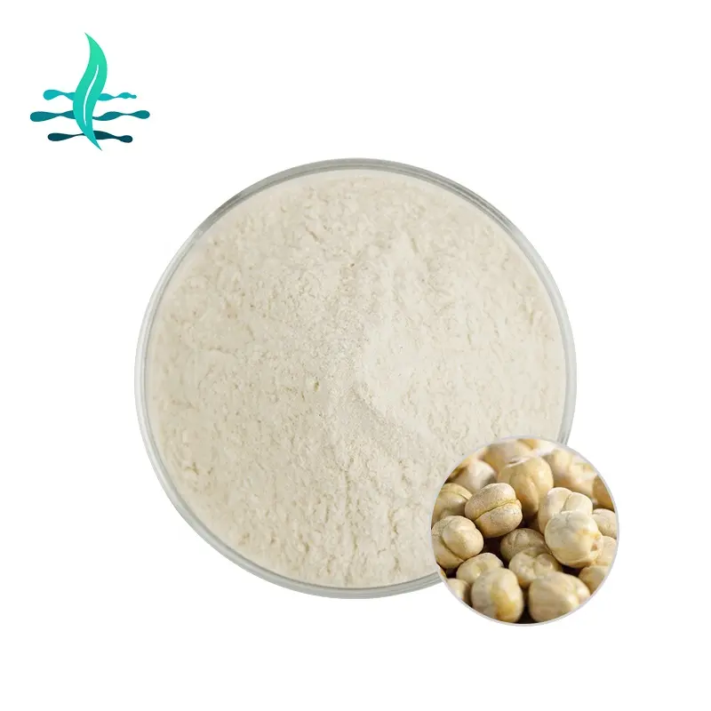 Nhà Máy Cung Cấp Chất Lượng Cao Chickpea Protein Cô Lập