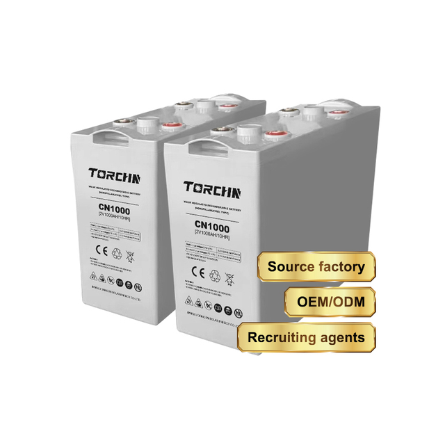 TORCHN 2 Volt Deep Cycle Battery 1000 Amp Lead Acid Battery 2v 1000ah