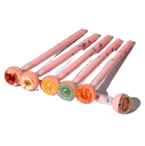 Résine incorporer des <span class=keywords><strong>insectes</strong></span> de fleurs séchées, des stylos à bille d'animaux qui brillent dans le noir Stylo d'écriture créatif pour étudiants - Product Image 3