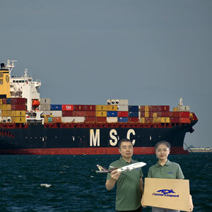 从中国到美国/英国/德国/欧洲/加拿大/日本的最佳FBA DDP门到门服务航空货运代理 - Product Image 6