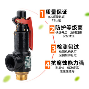 Soupape de sécurité A27W-16T, 10 bars, filetée, réglable, pour vapeur, eau, air, azote - Product Image 5