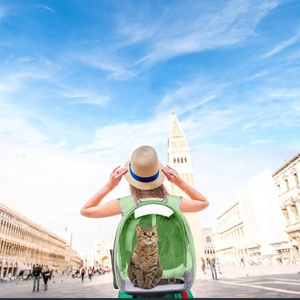 Mochila Transparente para Gatos, Diseño de Cápsula Espacial, Bolsa de Transporte para Mascotas, Aprobada por Aerolíneas, para Perros Pequeños - Product Image 2