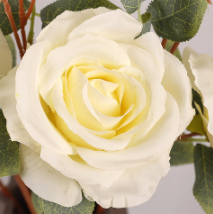 เหลืองอ่อน