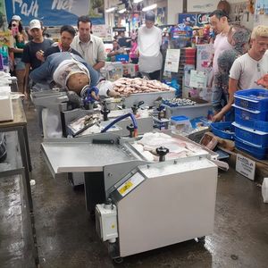 เครื่องทำเนื้อปลาเครื่องปอกเปลือกผิวปลา - Product Image 6