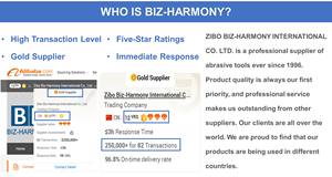 Dikdörtgen güç 48 delik yeşil turuncu kahverengi mor cam Metal araba zımpara diskleri kağıt - Product Image 2