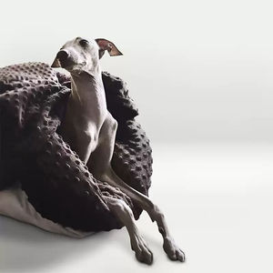 Mantas cálidas para mascotas para jaula y Manta personalizada para perros y gatos al por mayor con envío rápido mantas acogedoras - Product Image 1