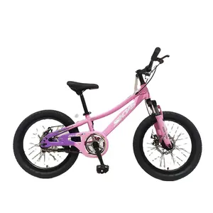 Customized models of children's bicycles new manufacturers direct sales no training wheels for kids bike