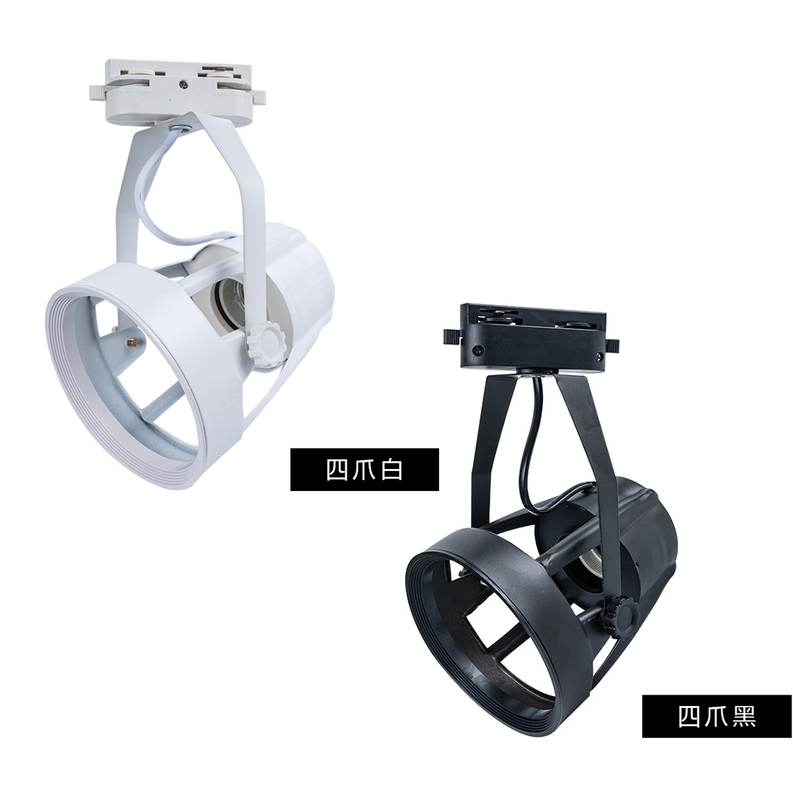 Concha blanca - Luz blanca