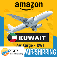 Sweet Protrading FBA - Agent transitaire de fret de Shenzhen - Chine, Hong Kong, États-Unis - DDP/DDU - Assurance faible coût - Air+Express - 7-9 jours