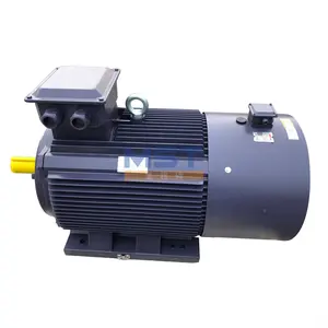 Variable Frequency Drive Motor for Power Station YVF2 Series AC Electric VFD Motor Supplier