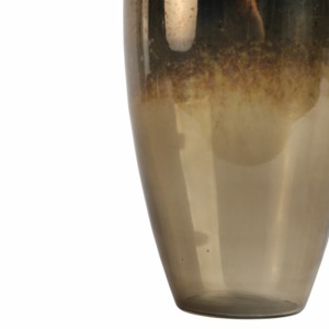 Vaso in vetro con accento scultoreo in metallo a forma di bottiglia per decorazioni casa e ufficio, composizioni floreali - Product Image 5