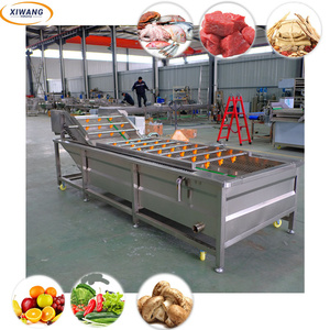Línea de Máquinas Avanzadas para Limpieza y Pelado de Frutas y Verduras - Product Image 4