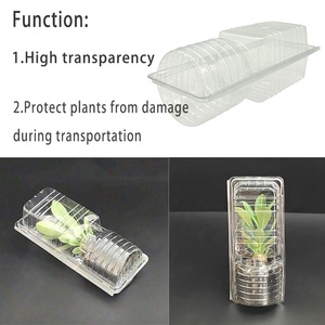 Caja Plegable de Plástico Transparente Desechable y Resistente, Envase Transparente para Rosas, Contenedor Tipo Concha para Plantas - Product Image 5