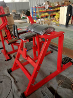 ST-8063 Machine d'entraînement des jambes en promotion, machine d'hyper-extension inversée pour l'entraînement de la force, pour les professionnels