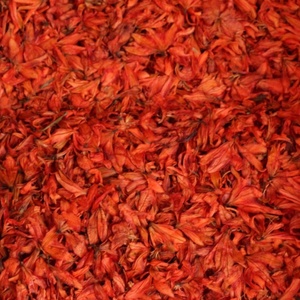 Tisana Naturale di Giglio Essiccato in Foglie Sciolte, Confezionata in Sacchetto o Scatola, Certificata ISO9001, Benefica per la Salute - Product Image 6