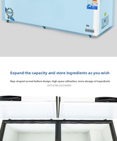 Congelador Horizontal de Una Sola Temperatura con Enfriamiento Directo y Tapa de Vidrio para Helados