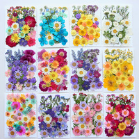 Sac de mélange de fleurs pressées série quatre saisons assortiment de fleurs et de feuilles colorées pour maquillages en résine
