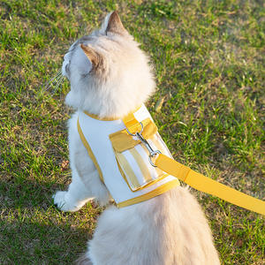 <span class=keywords><strong>Harnais</strong></span> de sortie <span class=keywords><strong>anti</strong></span>-évasion en polyester pour chiens, avec corde de <span class=keywords><strong>traction</strong></span> réfléchissante, caractéristiques personnalisées, bouton, gilet rembourré - Product Image 1