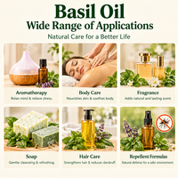 Huile Essentielle de Basilic Tropical 1KG Distillée 100% Pure Naturelle Biologique de Qualité Supérieure pour l'Aromathérapie, la Beauté, le Spa, le Diffuseur et les Soins Herbacés
