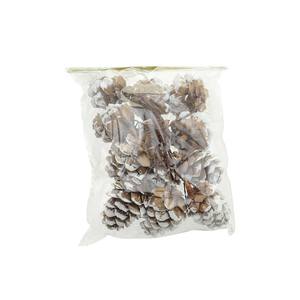 ENSEMBLE DE 12 COGONNES DE PIN ARTIFICIELLES DANS LES COULEURS NATURELLES ET BLANCHE - Product Image 1