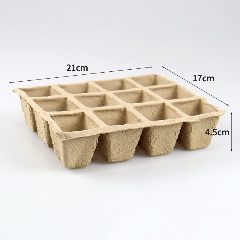 12 celle vassoio L dimensione