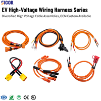 Harness Kabel Tegangan Tinggi Khusus Dengan Konektor HVSLS600 untuk Baterai EV, PDU, Inverter, Pengontrol Motor, Kendaraan Komersial