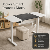 Table de bureau relevable AOR à double couleur, avec moteur simple inversé et cadre à double section, hauteur réglable, vente en gros usine