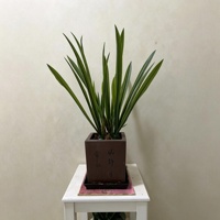 Vente en gros de plantes artificielles en plastique au toucher réel, tiges et racines de Cymbidium, verdure recyclable pour pot, vase, Noël, Pâques