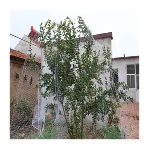 High Quality Factory Supply Bird Proof Nets Garden Plant Nets Agricultural Melon And Fruit Protection Nets