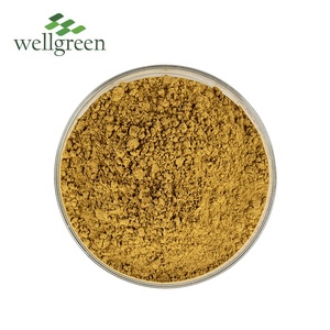 Extracto de cianotis aracnoidea en polvo, suplemento de salud, Beta ecdysterona, moldeador - Product Image 1