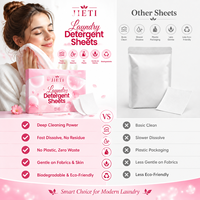 JIETI 30 Feuilles 60 Lavages Feuilles de Lessive Parfum Lavande OEM ODM Écologiques Vente en Gros Pack Direct Usine UE