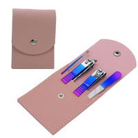 Portable Toe Nail Care Tools Kit de toilettage en acier inoxydable Voyage Beauté Rose Violet Manucure Pédicure Nail Kit Pour Hommes et Femmes