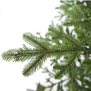 Árbol <span class=keywords><strong>de</strong></span> <span class=keywords><strong>Navidad</strong></span> Premium <span class=keywords><strong>de</strong></span> Alta Calidad <span class=keywords><strong>de</strong></span> 240 cm (8 pies), Grande y Abundante, 100% <span class=keywords><strong>de</strong></span> Polietileno, Sin Mal Olor, con Base Giratoria - Product Image 4