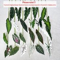 Nouvelles feuilles artificielles de Calladium, Begonia et Taro, colorées, 10-30 cm, pour vitrines de centres commerciaux et arrière-plans photographiques
