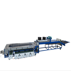 Máquina de clasificación de fruta cítrica, rodillo comercial de alta calidad, tipo de fruta de arándano, a <span class=keywords><strong>precio</strong></span> de fábrica - Product Image 3