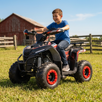 Quad Tao Motor 2027, nouveau modèle automatique avec frein à disque inversé, jantes de 7 pouces, 110 cm³, transmission par chaîne, ATV pour enfants avec certification CE EPA