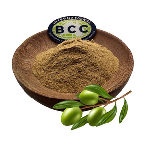 مسحوق مستخلص أوراق الزيتون بالجملة 10% 25% 40% هيدروكسيتيروسول - Product Image 1