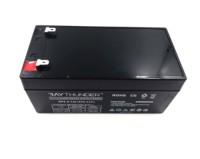 12v2.6ah 3.2ah 4.5ah petite batterie de stockage au plomb pour ascenseur/pulvérisateur/contrôle d'accès/porte de Volume