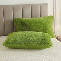 Ensemble de literie d'hiver chaud AOYATEX, ensemble de couette en peluche avec taie d'oreiller, ensemble de literie moelleuse de couleur unie