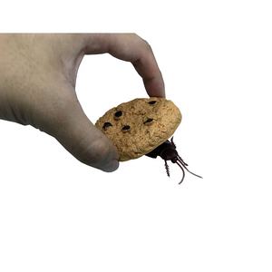Jouet de farce tendance 2026 : Biscuit réaliste avec cafard caché – Cadeau fantaisie pour adultes et adolescents (EN71, BSCI) - Product Image 1