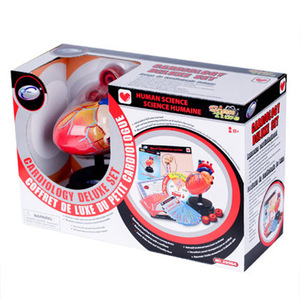 Modelo Anatómico Desmontable del Corazón Humano, Kit Educativo de Ciencias con Piezas de Vasos Sanguíneos, Material Didáctico para <span class=keywords><strong>el</strong></span> Aprendizaje de Biología - Product Image 5
